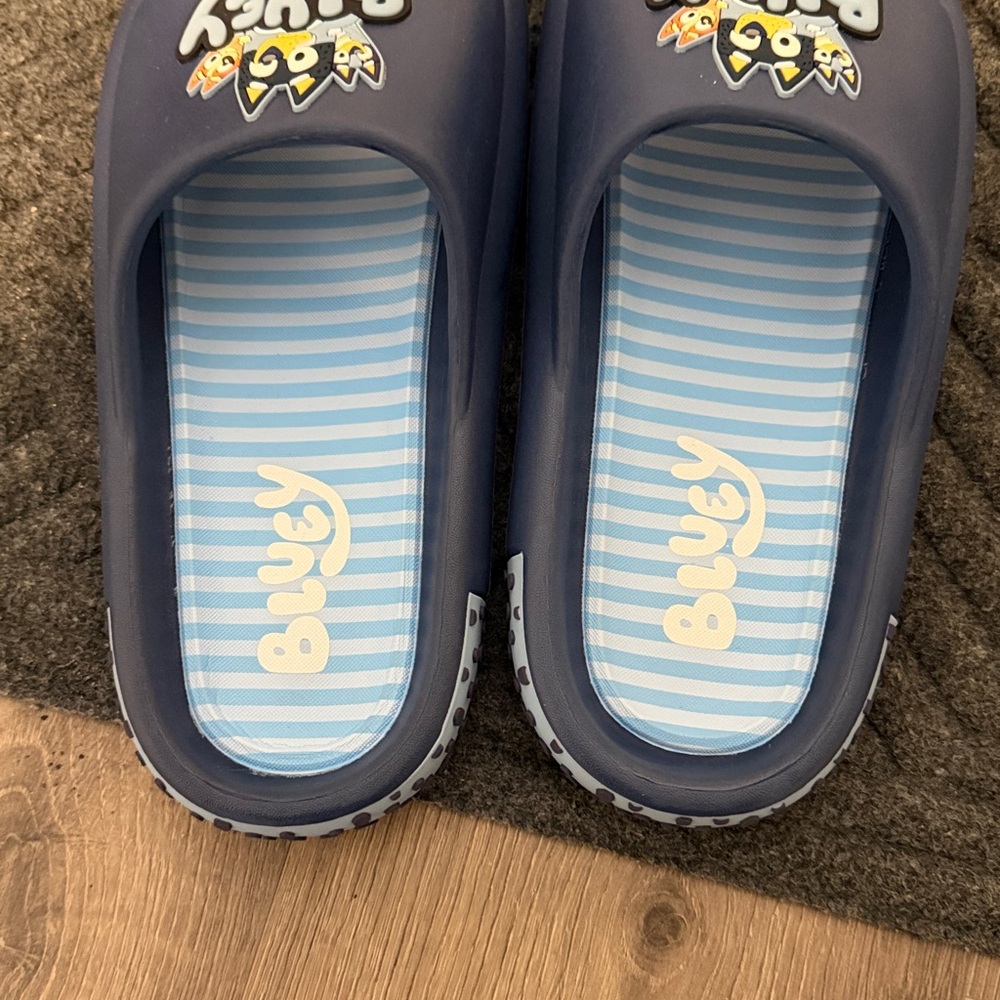 Bluey slides - Picture 5 of 6